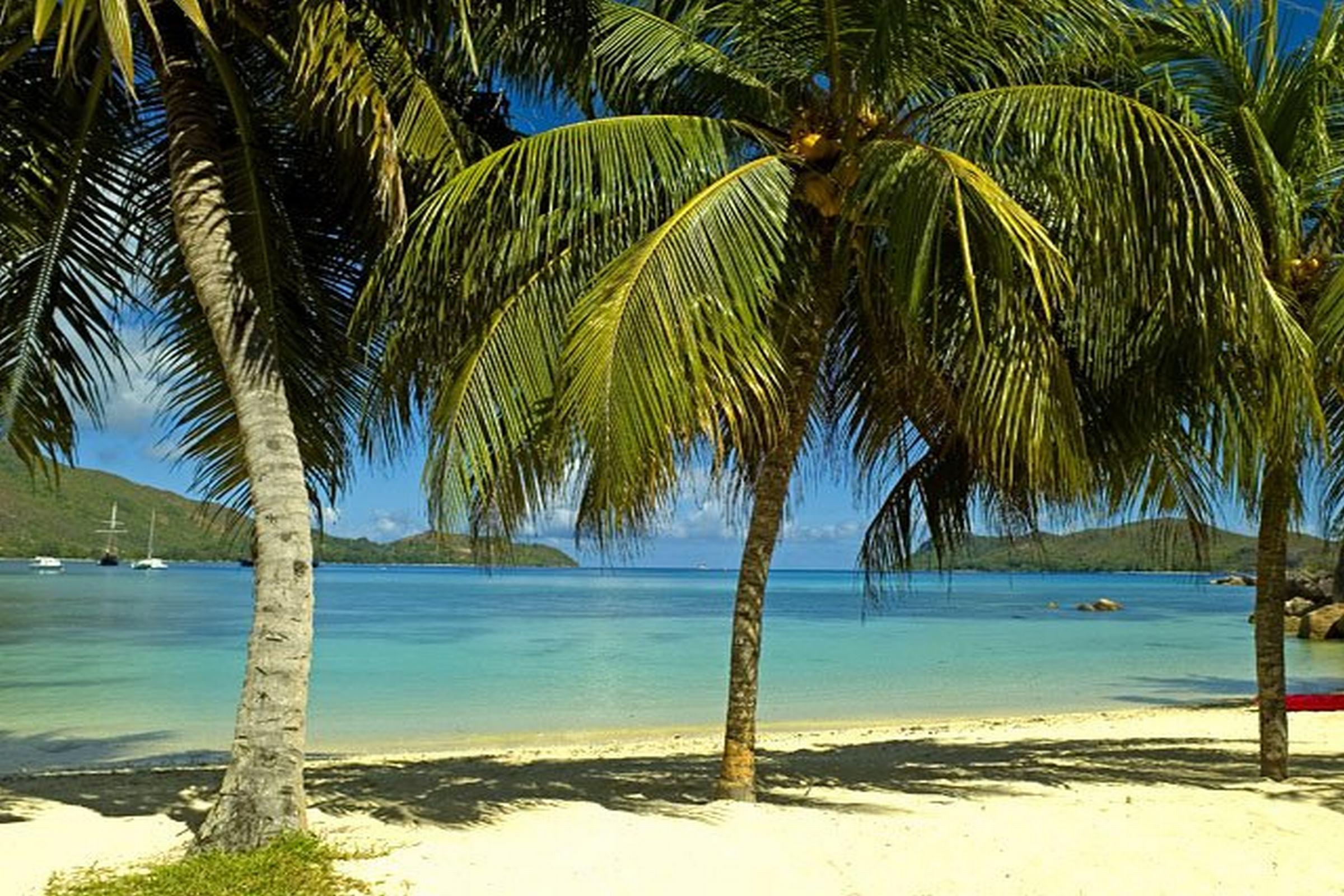 Le Domaine De La Reserve Anse Volbert Village  Exterior photo